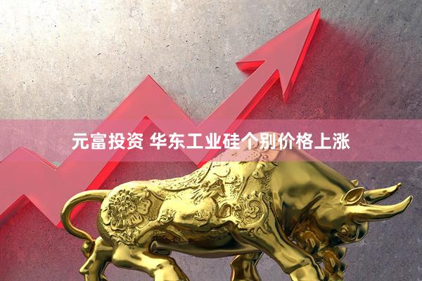 元富投资 华东工业硅个别价格上涨