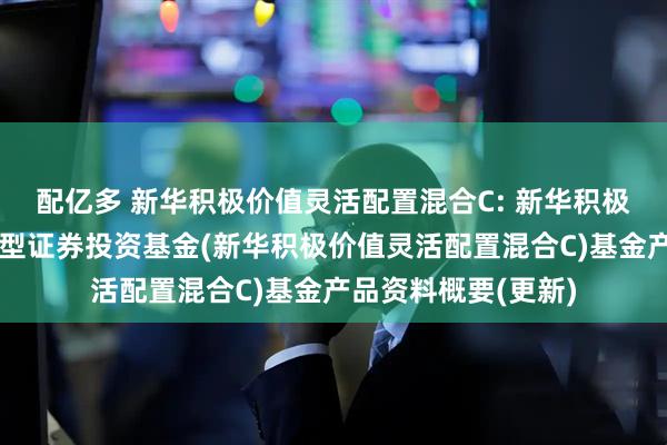 配亿多 新华积极价值灵活配置混合C: 新华积极价值灵活配置混合型证券投资基金(新华积极价值灵活配置混合C)基金产品资料概要(更新)