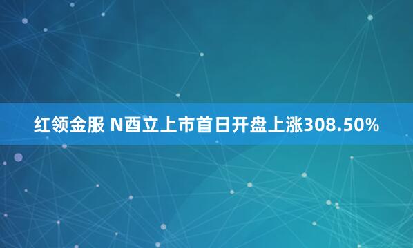 红领金服 N酉立上市首日开盘上涨308.50%