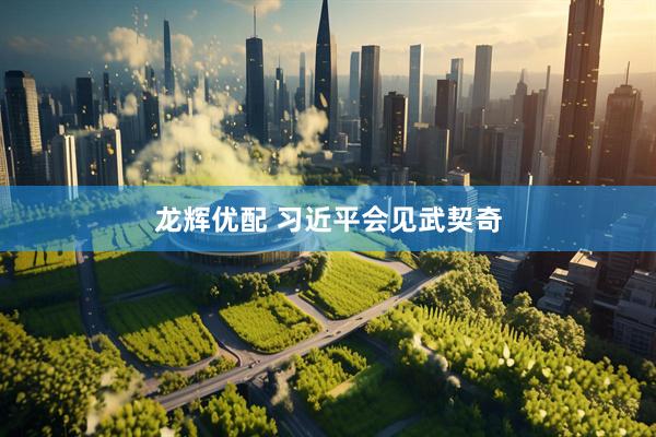 龙辉优配 习近平会见武契奇