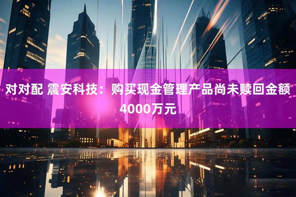 对对配 震安科技：购买现金管理产品尚未赎回金额4000万元