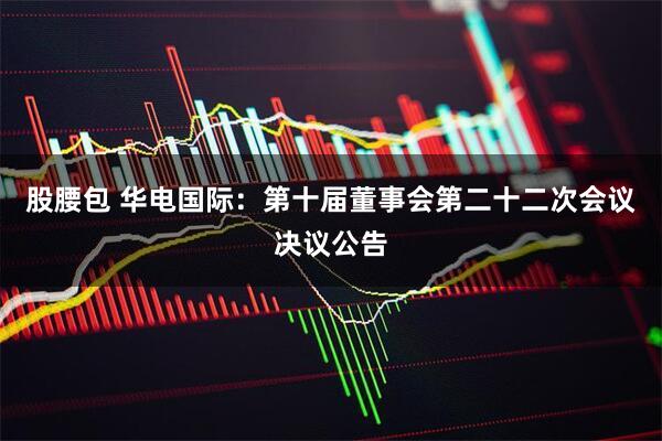 股腰包 华电国际：第十届董事会第二十二次会议决议公告