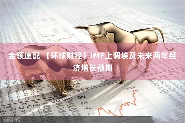 金领速配 【环球财经】IMF上调埃及未来两年经济增长预期
