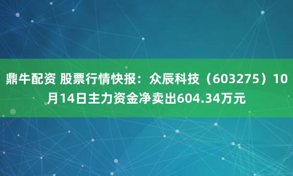 鼎牛配资 股票行情快报：众辰科技（603275）10月14日主力资金净卖出604.34万元
