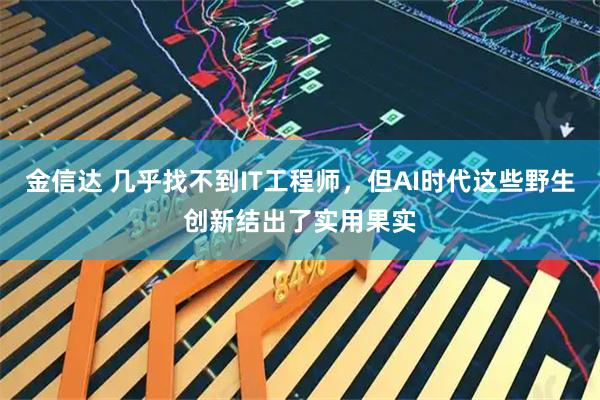 金信达 几乎找不到IT工程师,但AI时代这些野生创新结出了实用果实