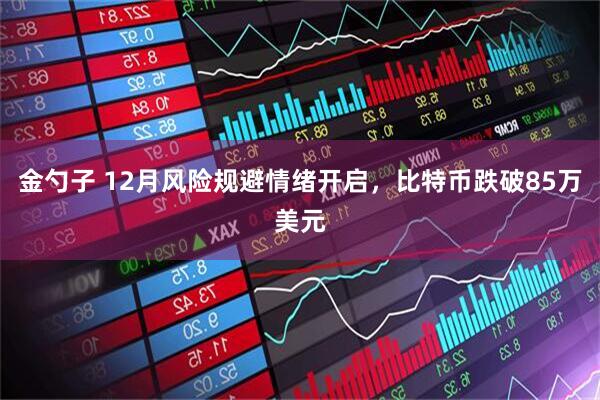 金勺子 12月风险规避情绪开启，比特币跌破85万美元